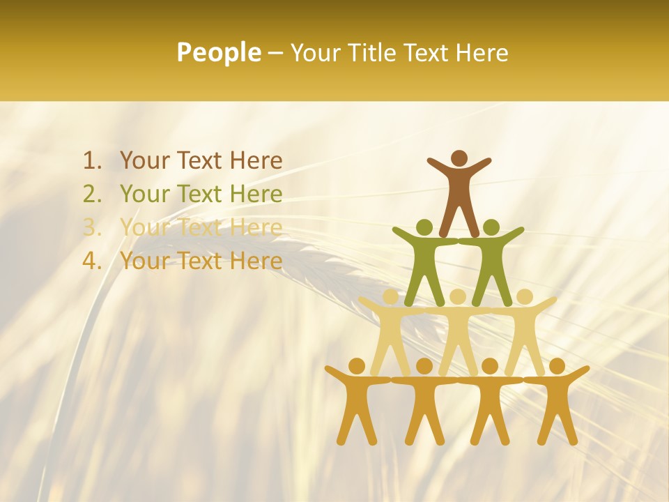 Straw Gold Meadow PowerPoint Template