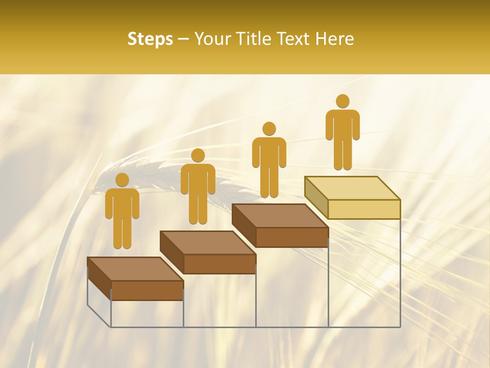 Straw Gold Meadow PowerPoint Template
