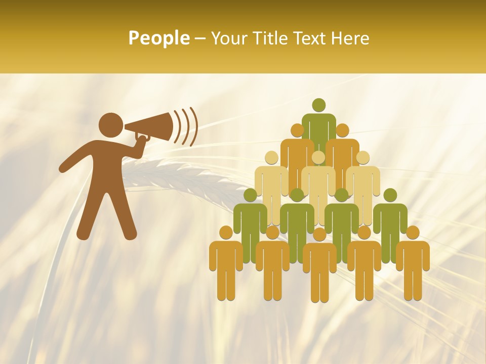 Straw Gold Meadow PowerPoint Template