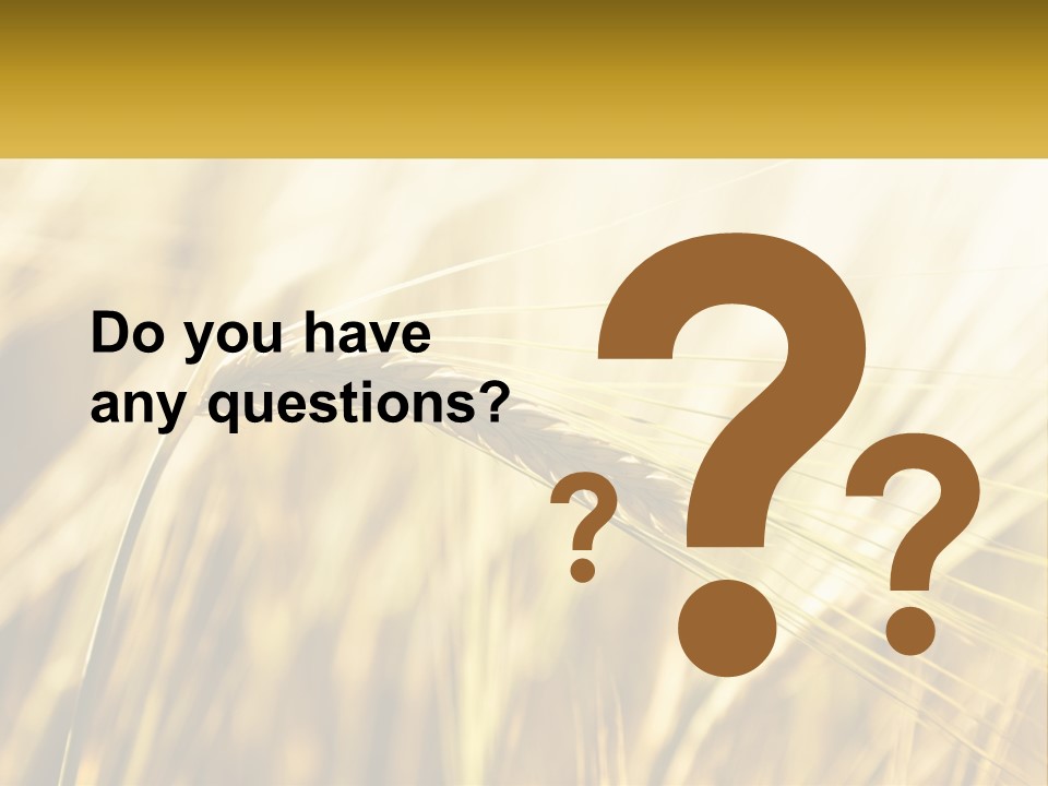 Straw Gold Meadow PowerPoint Template