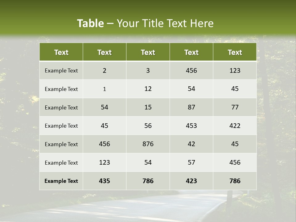 Sunny Indirect Pavement PowerPoint Template