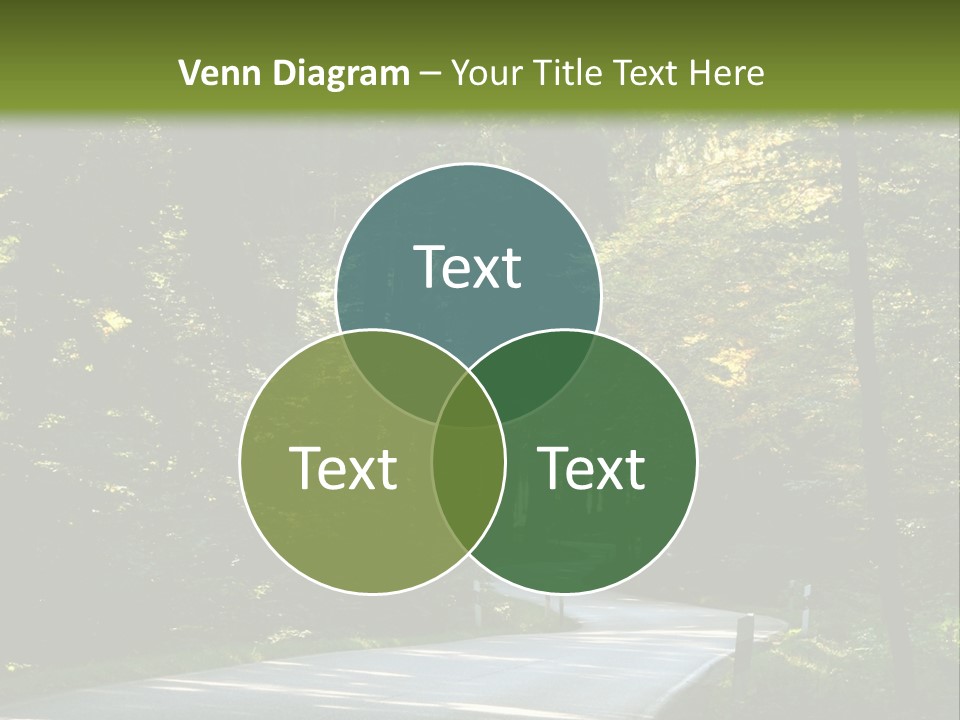 Sunny Indirect Pavement PowerPoint Template