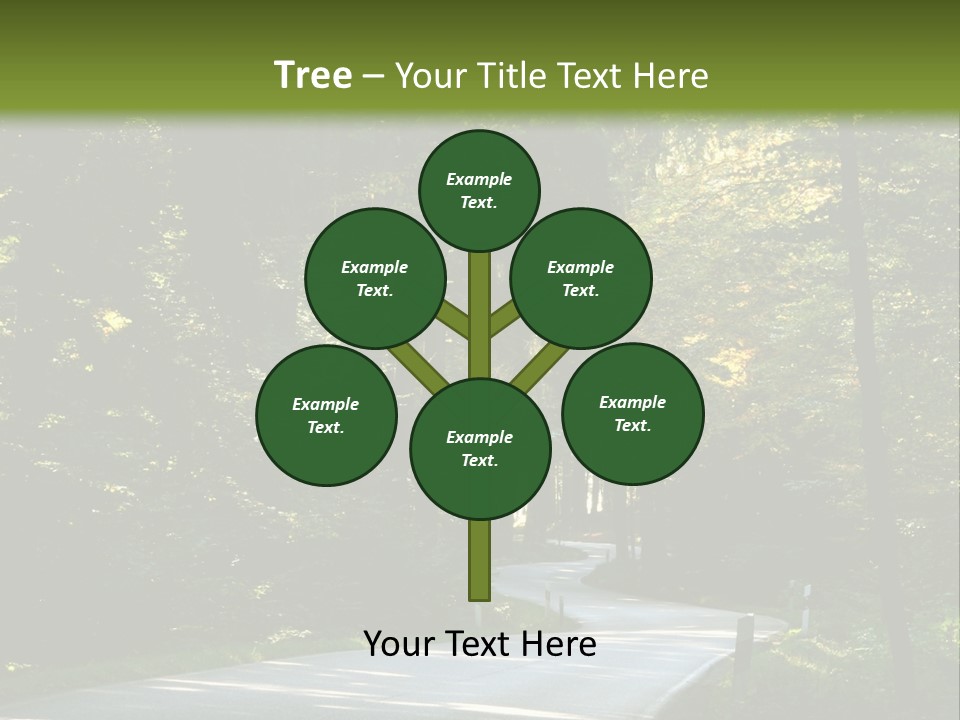 Sunny Indirect Pavement PowerPoint Template