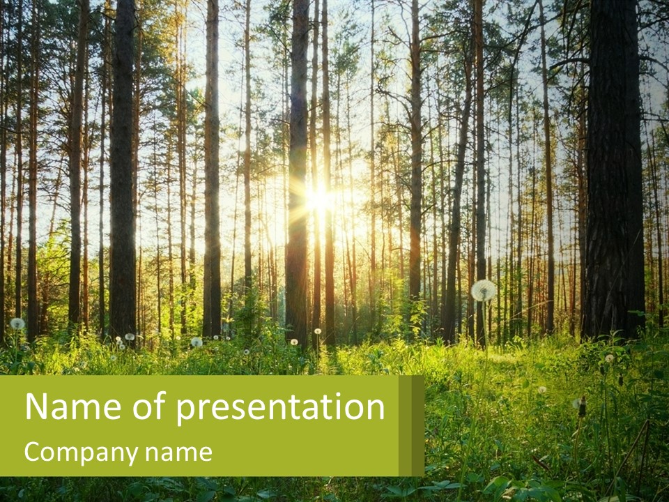 Plant Trees Light PowerPoint Template