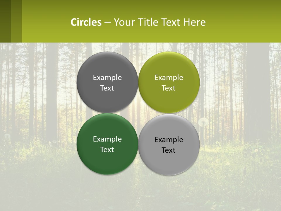 Plant Trees Light PowerPoint Template