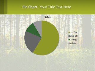 Plant Trees Light PowerPoint Template