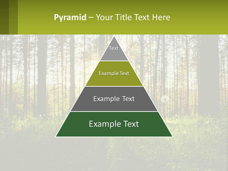 Plant Trees Light PowerPoint Template