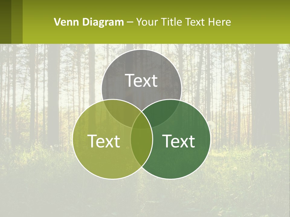Plant Trees Light PowerPoint Template
