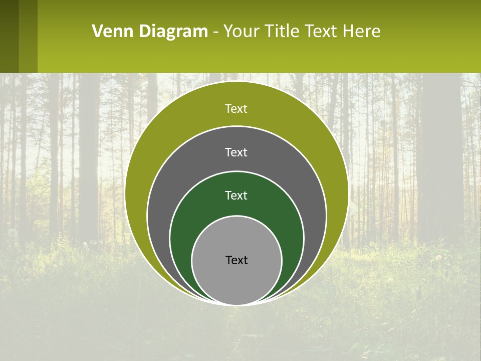 Plant Trees Light PowerPoint Template