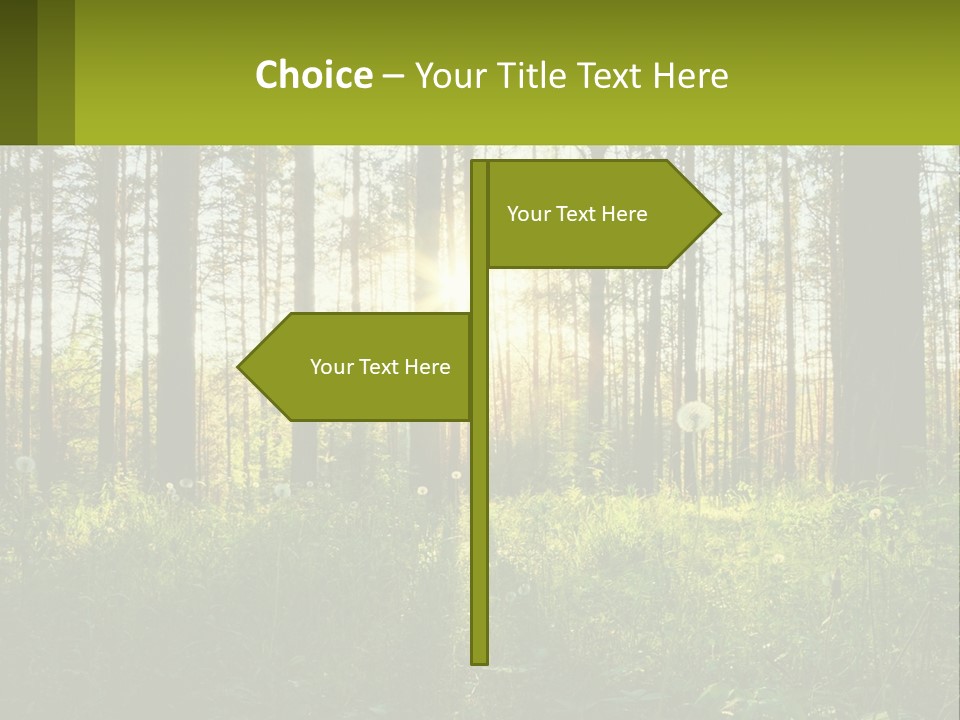Plant Trees Light PowerPoint Template