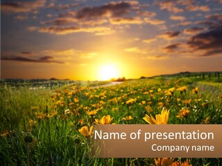 Spring Paradise Nature PowerPoint Template