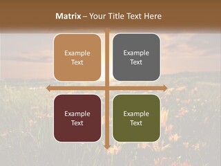 Spring Paradise Nature PowerPoint Template