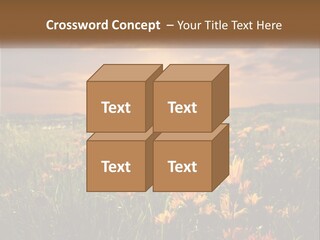 Spring Paradise Nature PowerPoint Template
