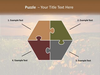 Spring Paradise Nature PowerPoint Template