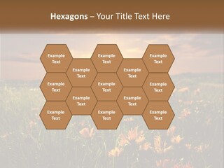 Spring Paradise Nature PowerPoint Template