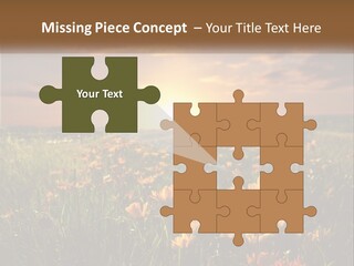 Spring Paradise Nature PowerPoint Template