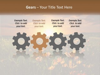 Spring Paradise Nature PowerPoint Template