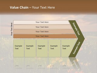 Spring Paradise Nature PowerPoint Template