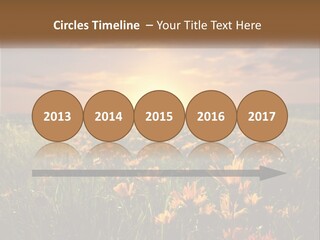 Spring Paradise Nature PowerPoint Template