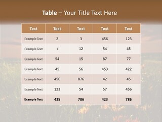 Spring Paradise Nature PowerPoint Template