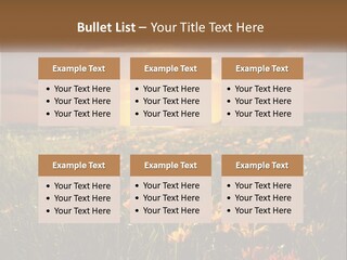 Spring Paradise Nature PowerPoint Template