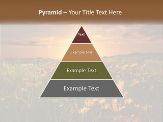 Spring Paradise Nature PowerPoint Template