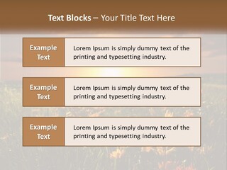 Spring Paradise Nature PowerPoint Template