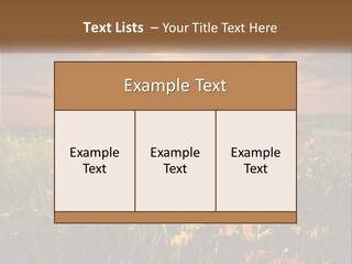 Spring Paradise Nature PowerPoint Template
