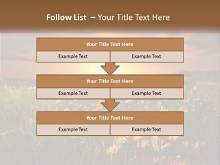 Spring Paradise Nature PowerPoint Template