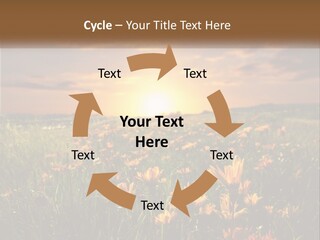 Spring Paradise Nature PowerPoint Template