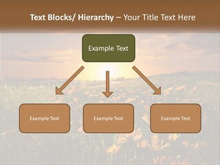 Spring Paradise Nature PowerPoint Template