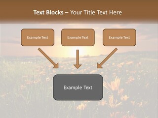 Spring Paradise Nature PowerPoint Template