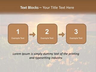 Spring Paradise Nature PowerPoint Template