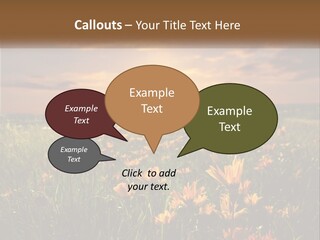 Spring Paradise Nature PowerPoint Template