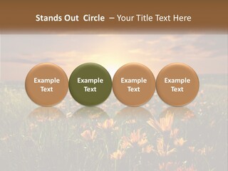 Spring Paradise Nature PowerPoint Template
