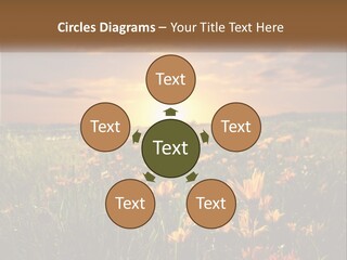 Spring Paradise Nature PowerPoint Template