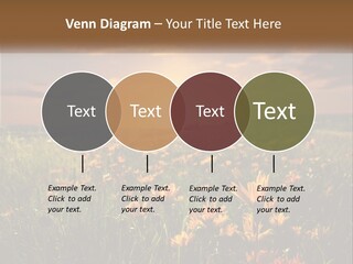 Spring Paradise Nature PowerPoint Template