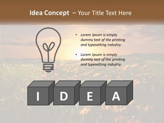 Spring Paradise Nature PowerPoint Template