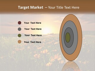 Spring Paradise Nature PowerPoint Template