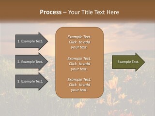 Spring Paradise Nature PowerPoint Template
