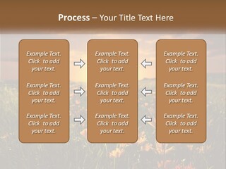 Spring Paradise Nature PowerPoint Template
