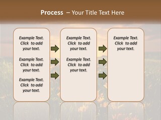 Spring Paradise Nature PowerPoint Template