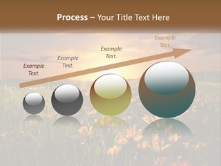 Spring Paradise Nature PowerPoint Template