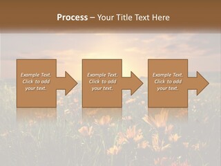 Spring Paradise Nature PowerPoint Template