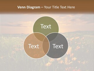 Spring Paradise Nature PowerPoint Template