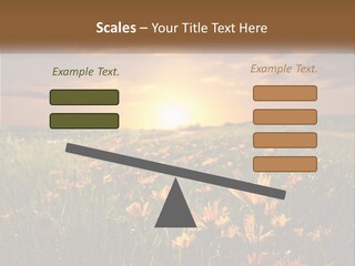 Spring Paradise Nature PowerPoint Template