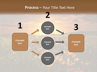 Spring Paradise Nature PowerPoint Template