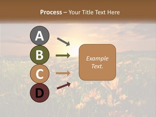 Spring Paradise Nature PowerPoint Template