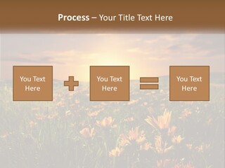 Spring Paradise Nature PowerPoint Template