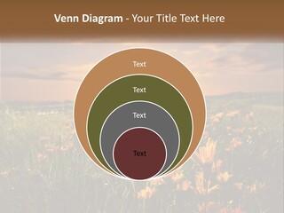 Spring Paradise Nature PowerPoint Template